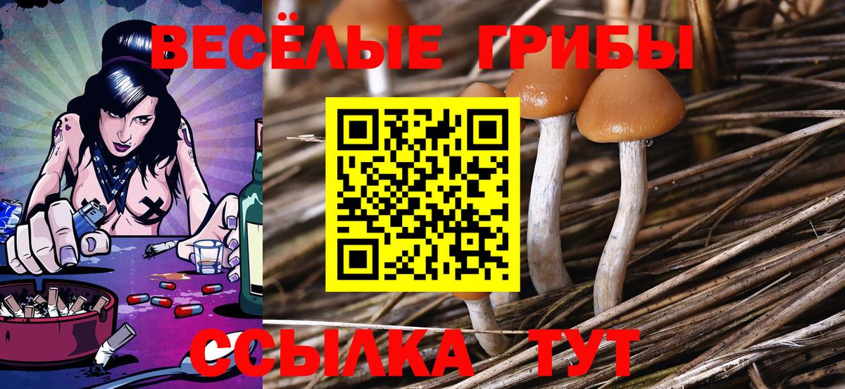 Галлюциногенные грибы ЛСД Якутск
