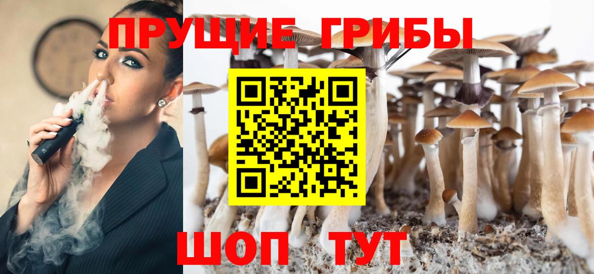 Псилоцибиновые грибы мухоморы  Вход с VPN  наркота  Якутск 